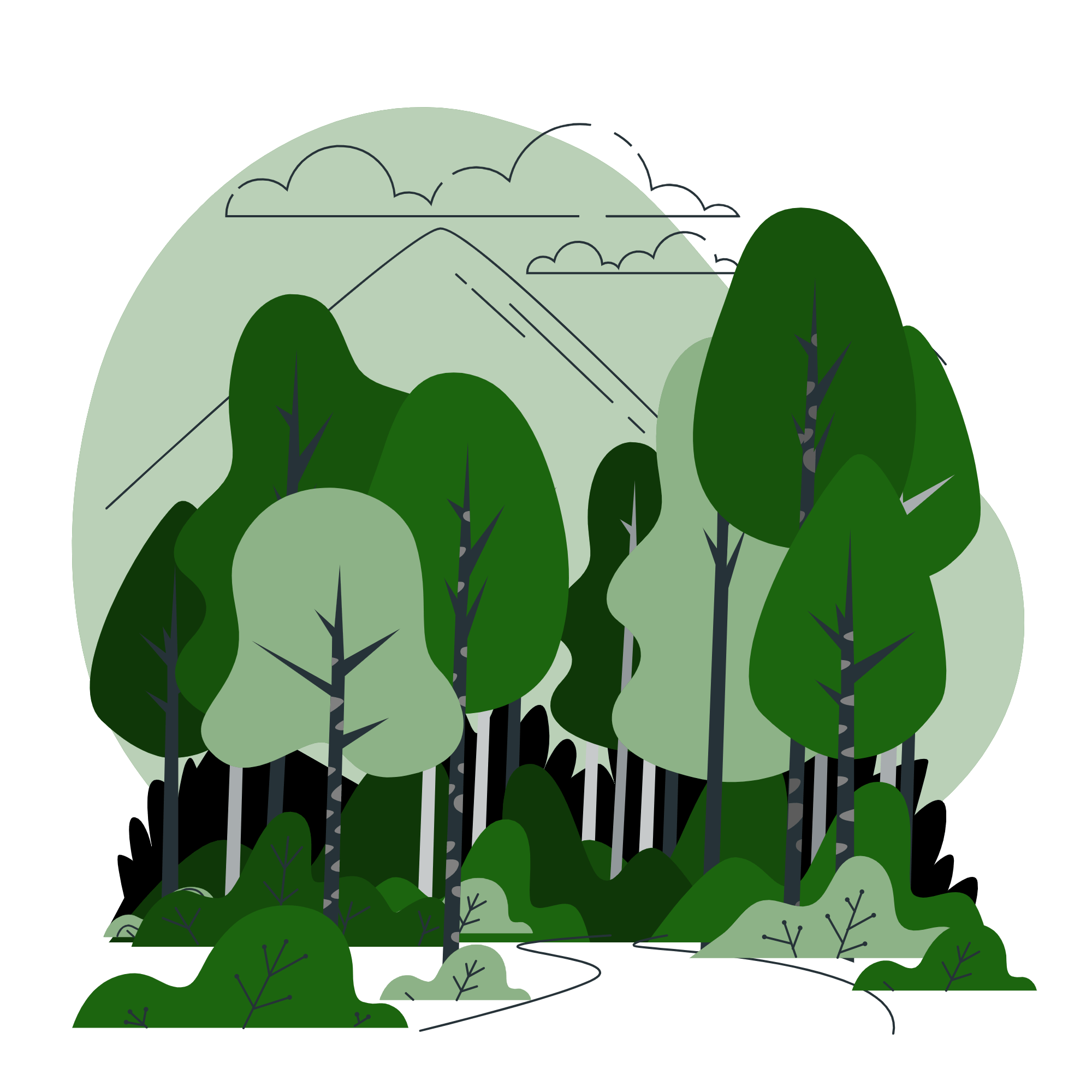 foret-zeenplanet